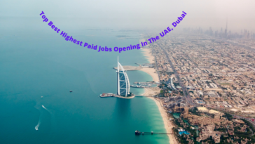 Top Best Highest Paid Jobs Opening In The UAE, Dubai