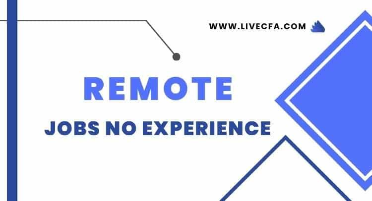 How To Land a Remote Jobs With No Experience