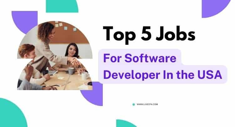 Top 5 Jobs For Software Developer In the USA
