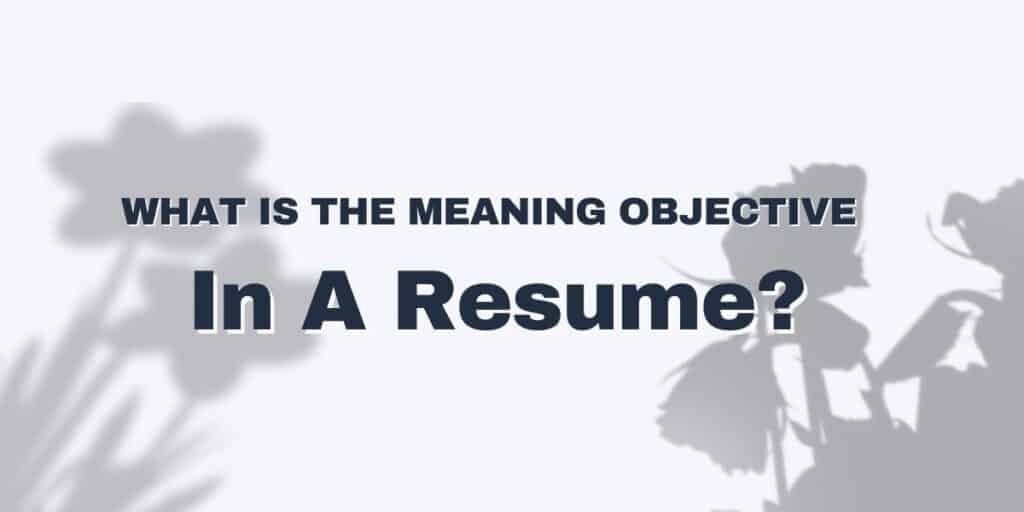 resume-objective-meaning-examples-definitions