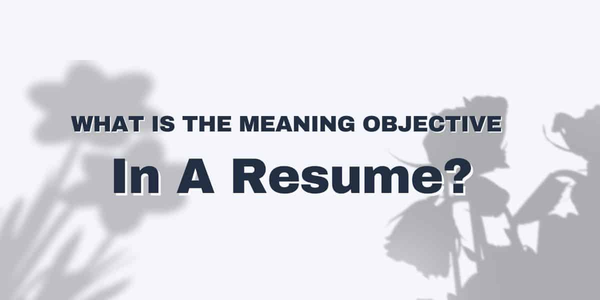 meaning of objective on resume